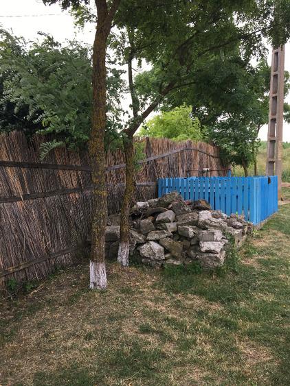 Casă individuală cu 5 camere cu Teren 4500 Mp în Viișoara