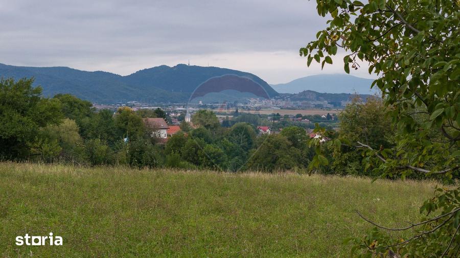 Teren de 3175 mp, în Poiana Angelescu