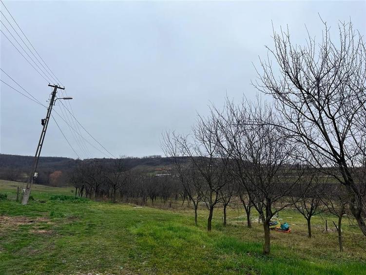 Teren Construcții intravilan de 500 mp, în Hidișelu de Sus