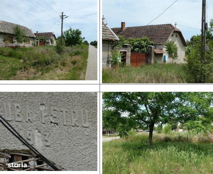 Casă cu 2 camere în Central
