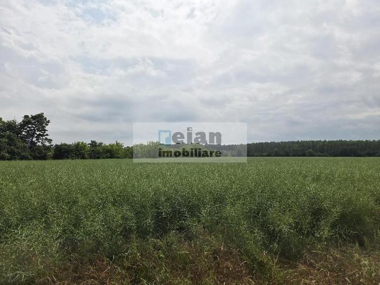 Teren Construcții intravilan de 892 mp, în Ciolpani