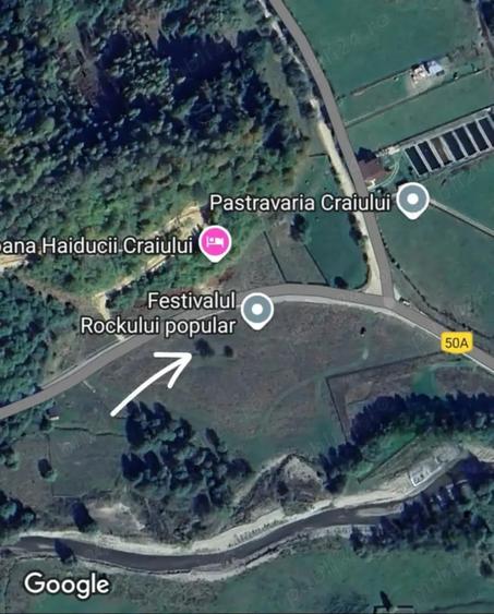 Teren de 440 mp, în Plaiul Foii