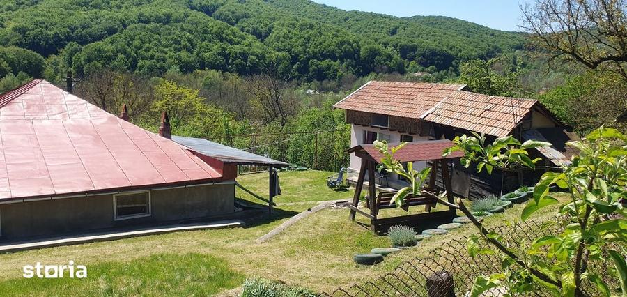 Casa de vacan?a cu teren, zona submontana, aproape de Valenii de Munte - 15