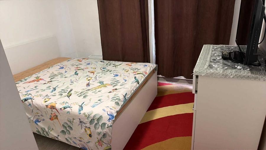 Apartament cu 2 camere în Roșu