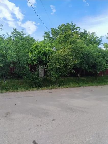 Vand casa locuibila Izvoarele - 2