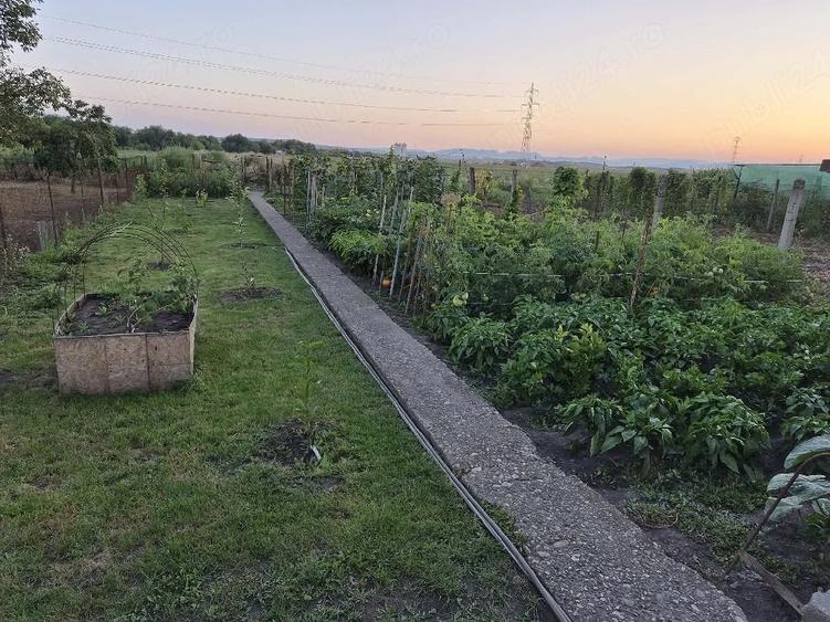 Casă cu Teren 600 Mp în Central