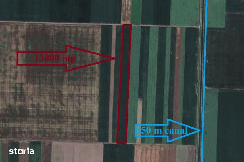 Teren de 13800 mp, în Scânteia