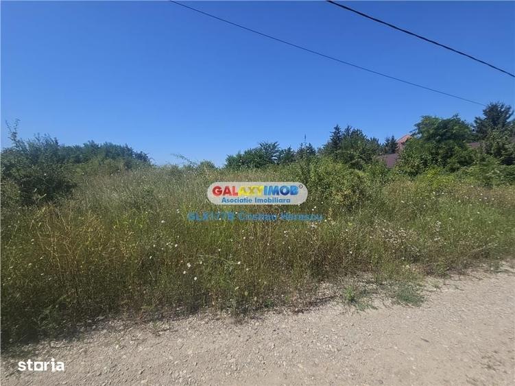 Spațiu comercial, în Grădiștea