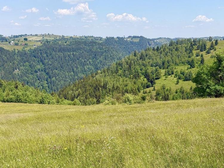 Teren de 10000 mp, în Măguri