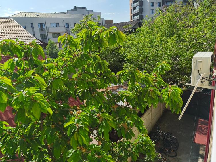 Apartament cu 2 camere semidecomandat în Olteniței