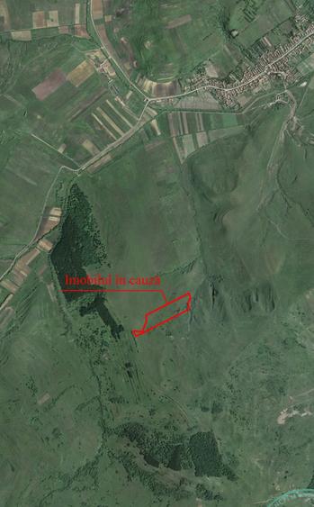 Teren extravilan de 54500 mp, în Lovnic