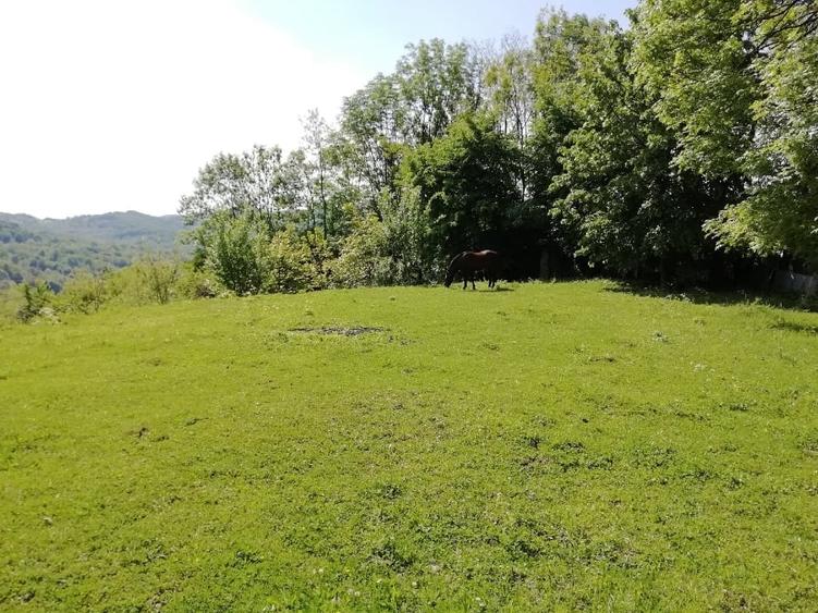 Teren Construcții intravilan de 2031 mp, în Bela