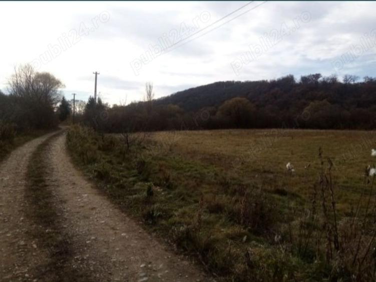 Teren de 10000 mp, în Central
