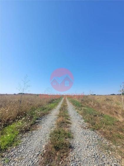 Teren Costinesti 1000 mp, Aproape de Plaja si de Nibiru, Ide - 8