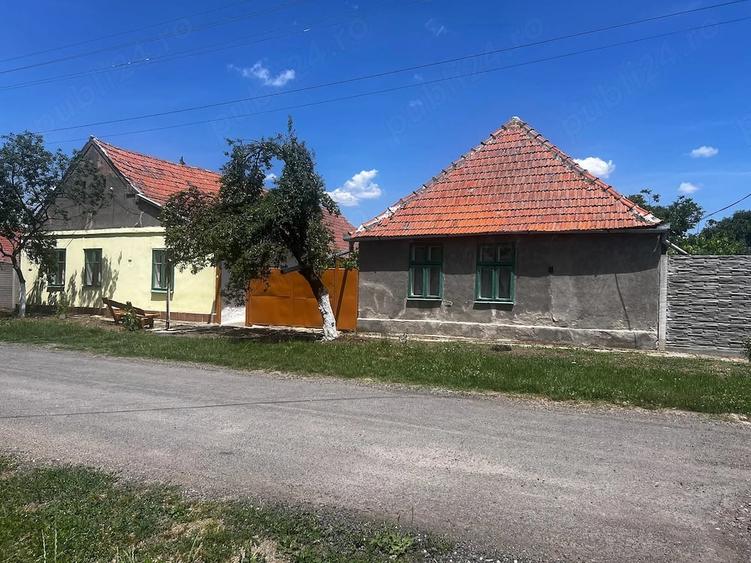 Casă cu Teren 2900 Mp în Jamu Mare