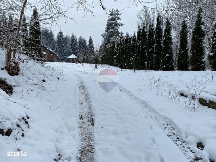 Spațiu comercial, de 280 mp, în Piatra