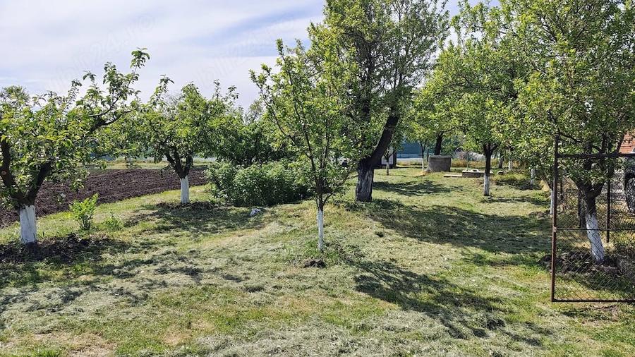 Teren de 7000 mp, în Central