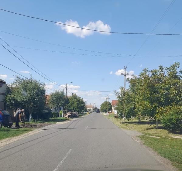 Teren Construcții intravilan de 1438 mp, în Dudeștii Noi
