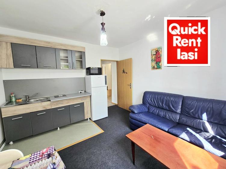 Ultracentral Targu Cucu Langa UMF/UAIC Apartament 2Camere Open Space - 1