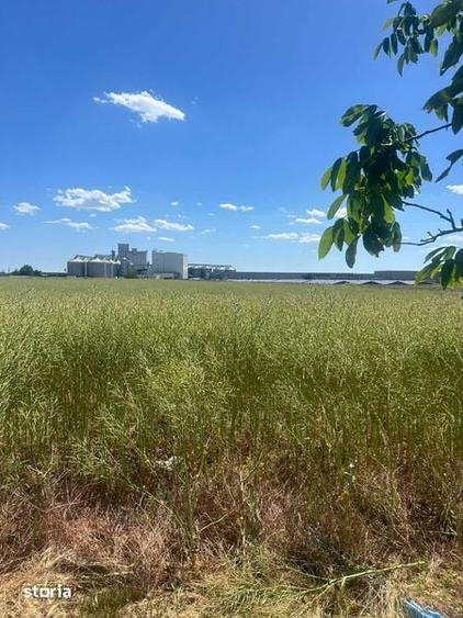Vand teren in zona industriala, Santandrei, 23.500 mp - 4