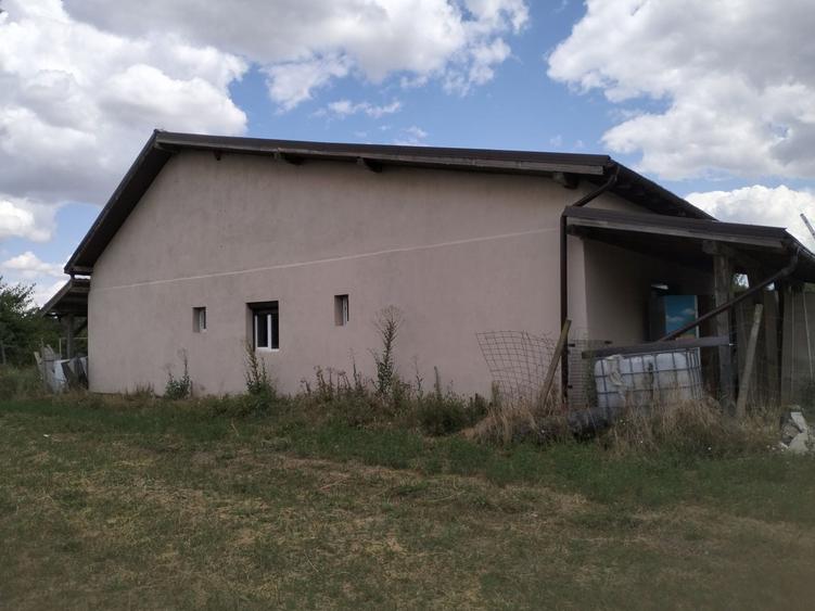 Casă cu 3 camere în Remetea Mare