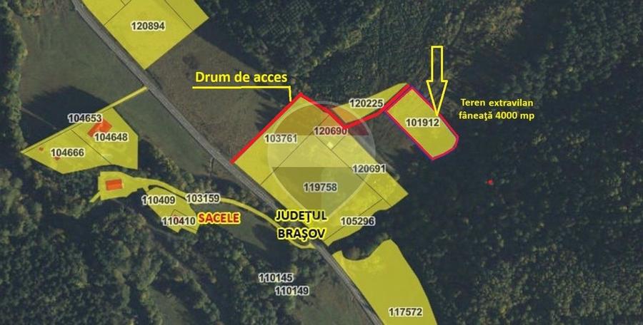 Teren Construcții extravilan de 4000 mp, în Babarunca