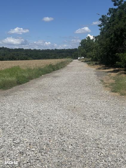 Teren intravilan de vanzare, 35000 mp cu deschidere la padure, Buftea - 2