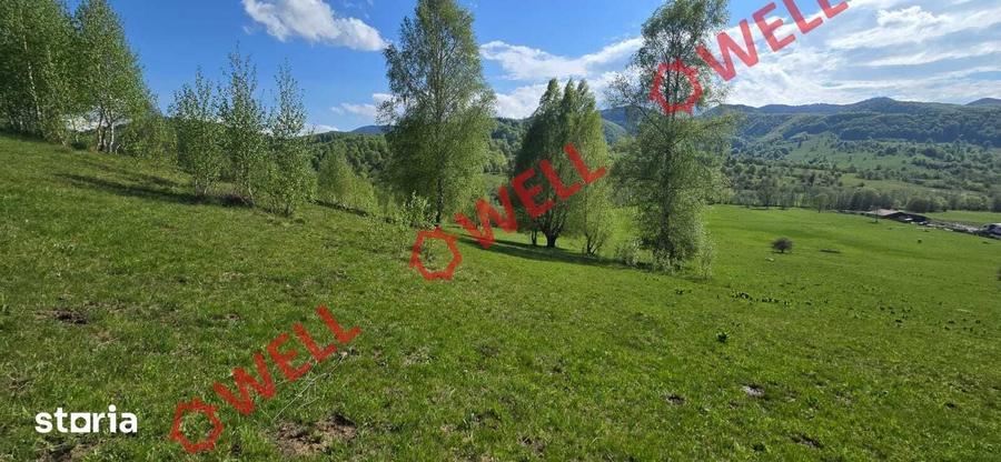 Teren de 1740 mp, în Vama Buzăului