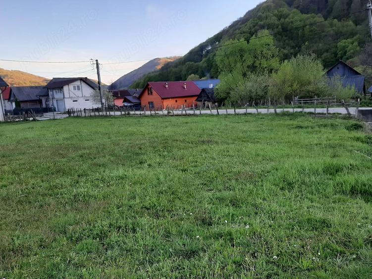 Teren de 1000 mp, în Telciu