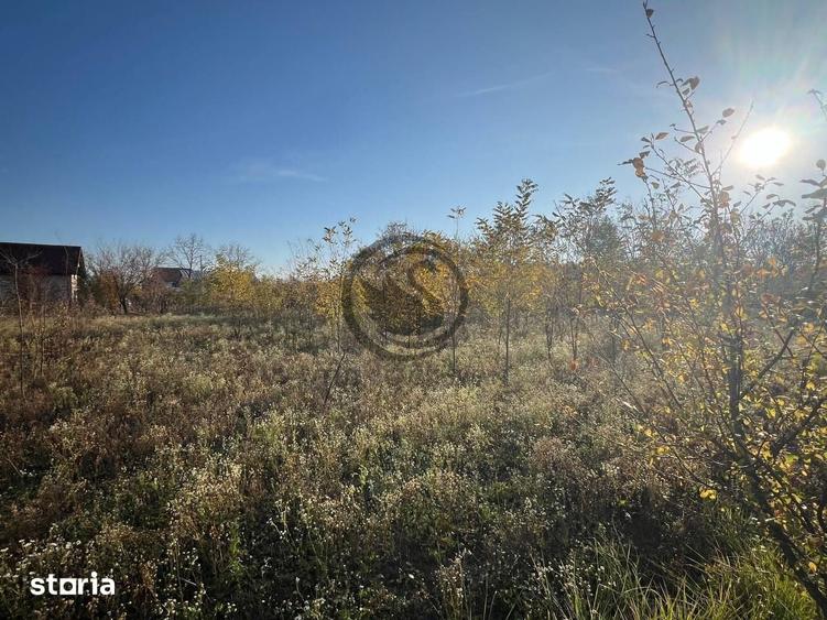 Teren de 12650 mp, în I. L. Caragiale