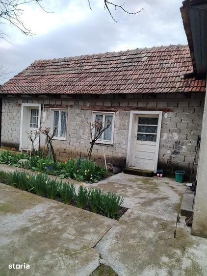 Casă cu 3 camere cu Teren 1079 Mp în Șepreuș