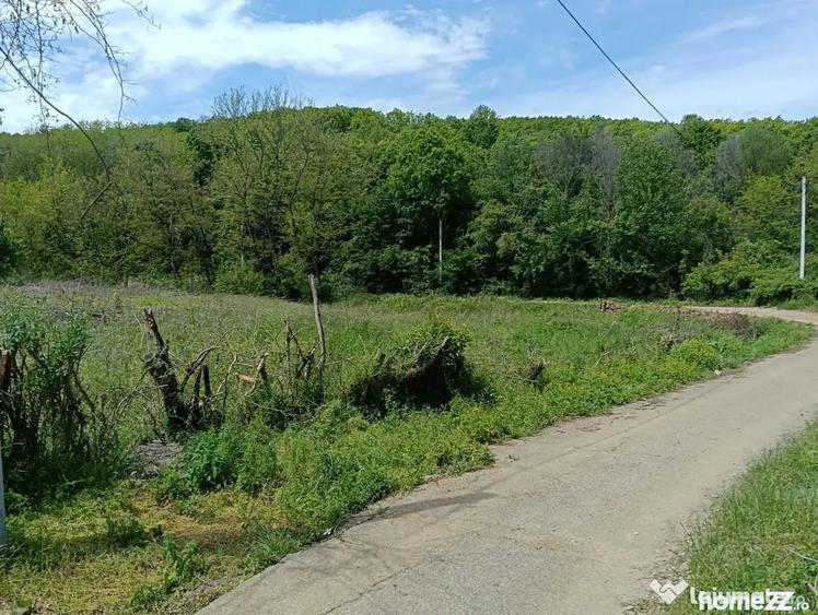Teren de 1807 mp, în Cocorăștii Mislii