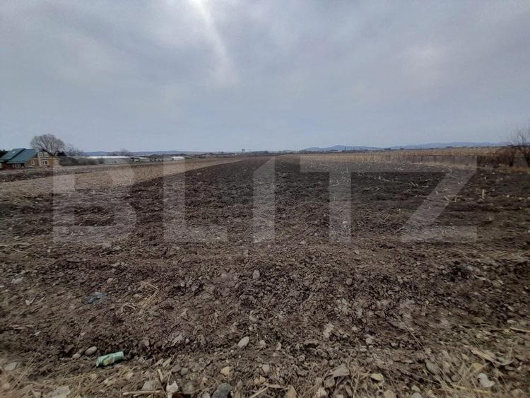 Teren Construcții extravilan de 5000 mp, în Est