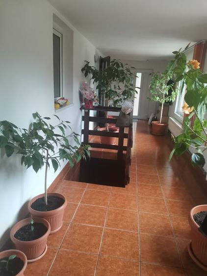 Casă cu 4 camere în Drumul Carului