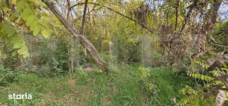 Teren de 1950 mp, în Răzvad