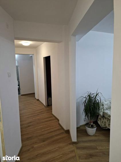 Apartament cu 3 camere decomandat în Banat