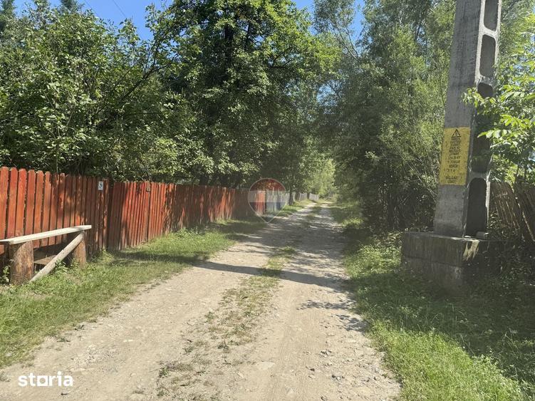 Teren de 2860 mp, în Borca