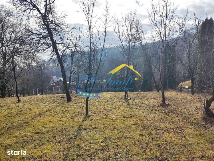 Teren de 5037 mp, în Gura Beliei
