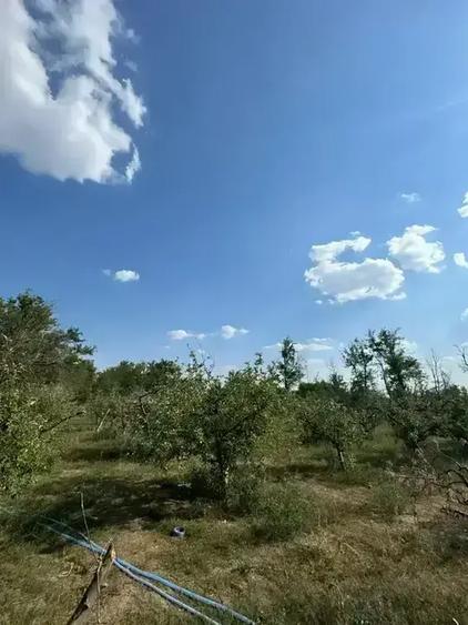 Casă cu 5 camere cu Canalizare în Ion Roată