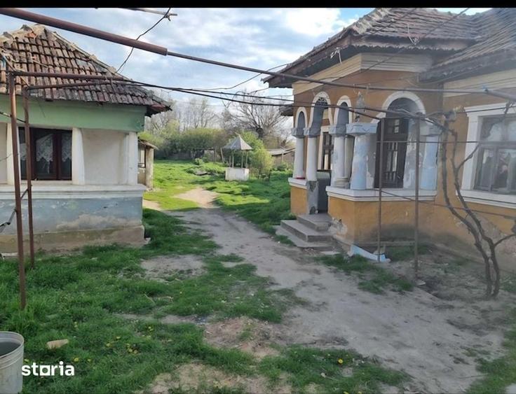 Vand casa la tara - 2