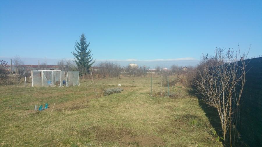 Teren Construcții intravilan de 900 mp, în Noua