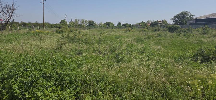 Teren Construcții intravilan de 870 mp, în Nord-Est