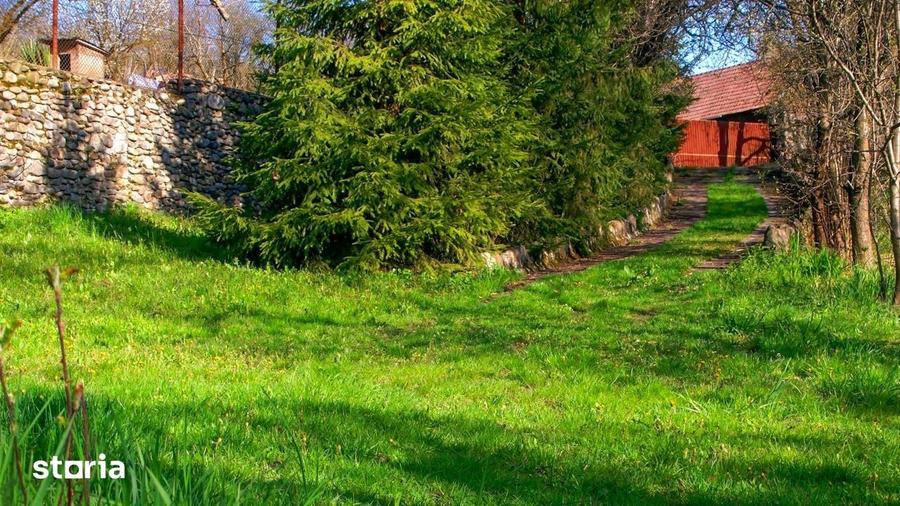 Teren de 14000 mp, în Mihai Viteazu