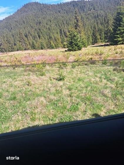 Teren de 5 mp, în Beliș