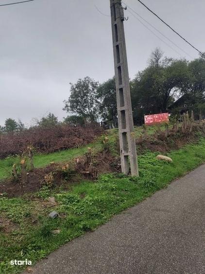 Teren de 2400 mp, în Vâlcea
