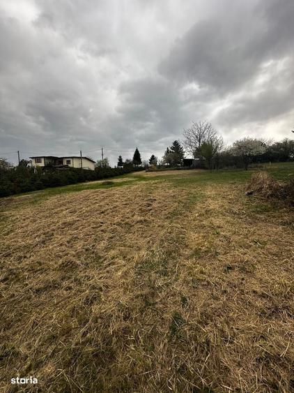 Casă cu 2 camere în Săldăbagiu de Munte
