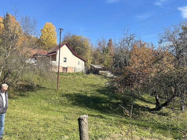 Teren de 1200 mp, în Provița de Sus