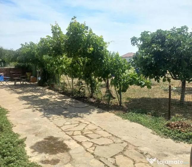 Casă cu 3 camere cu Teren 2000 Mp în Mihail Kogălniceanu