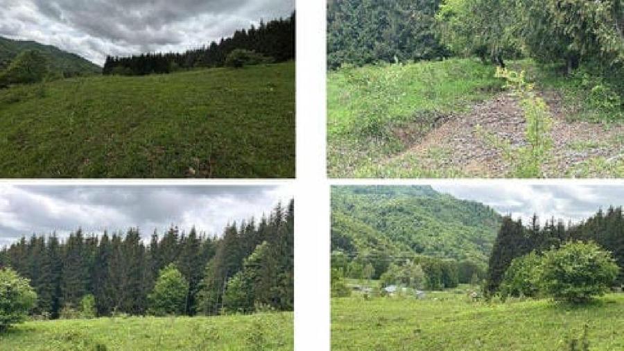 Teren intravilan de 10200 mp, în Valea Doftanei