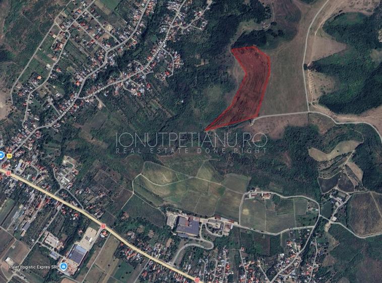 Teren agricol extravilan de 56362 mp, în Ștefănești